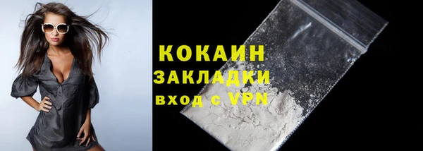 ГАЛЛЮЦИНОГЕННЫЕ ГРИБЫ Инсар