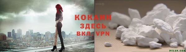 ГАЛЛЮЦИНОГЕННЫЕ ГРИБЫ Инсар