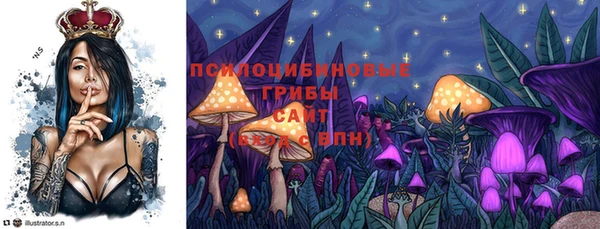 ГАЛЛЮЦИНОГЕННЫЕ ГРИБЫ Инсар