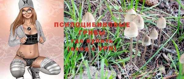 ГАЛЛЮЦИНОГЕННЫЕ ГРИБЫ Инсар
